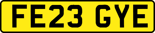 FE23GYE