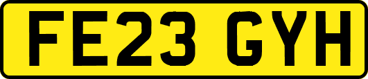 FE23GYH