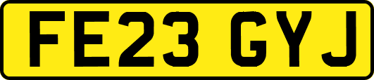 FE23GYJ