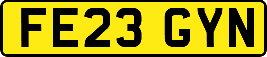 FE23GYN