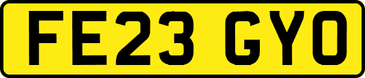 FE23GYO