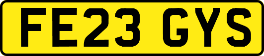 FE23GYS
