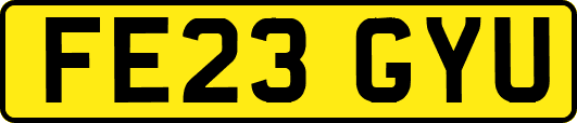 FE23GYU
