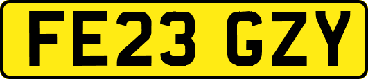 FE23GZY