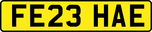 FE23HAE