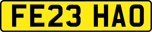 FE23HAO