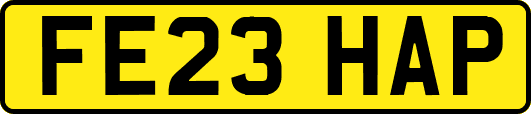 FE23HAP