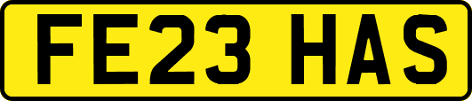 FE23HAS