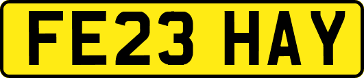 FE23HAY