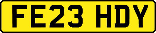 FE23HDY