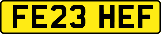 FE23HEF