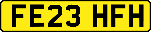 FE23HFH