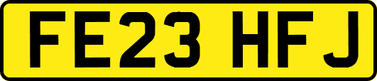 FE23HFJ