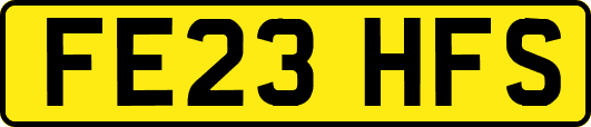 FE23HFS