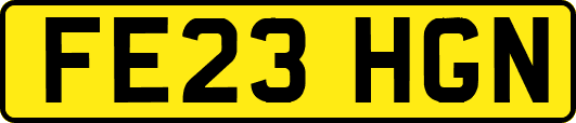 FE23HGN