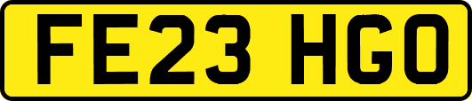 FE23HGO
