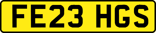 FE23HGS