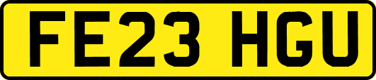 FE23HGU