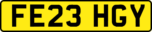 FE23HGY