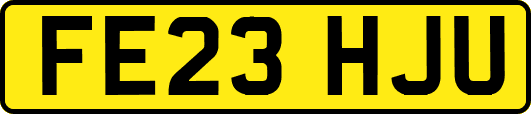 FE23HJU