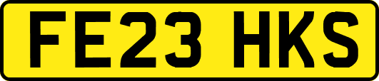 FE23HKS