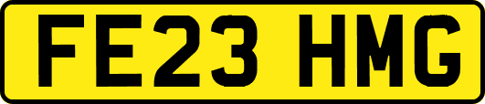 FE23HMG