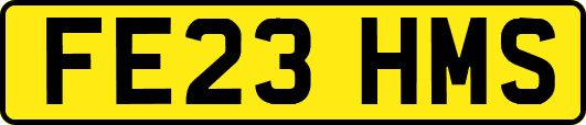 FE23HMS