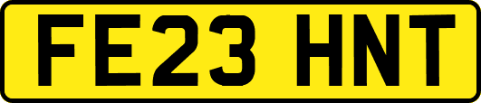 FE23HNT