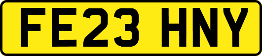 FE23HNY
