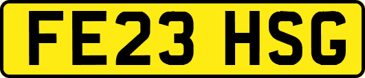 FE23HSG