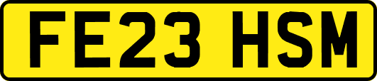 FE23HSM
