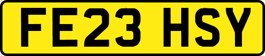 FE23HSY