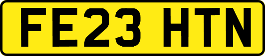 FE23HTN