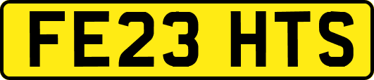 FE23HTS