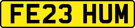 FE23HUM