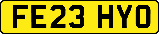 FE23HYO