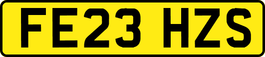 FE23HZS