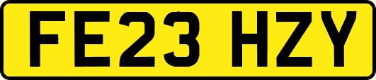FE23HZY