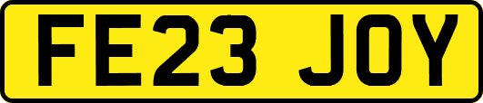FE23JOY