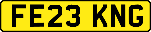 FE23KNG