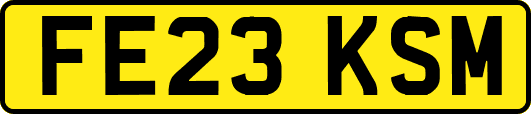 FE23KSM