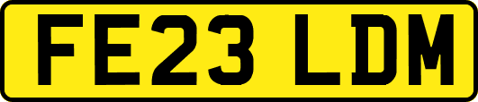 FE23LDM