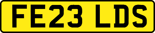 FE23LDS