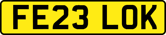 FE23LOK