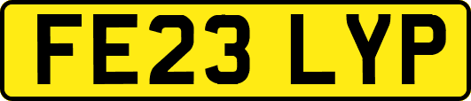 FE23LYP