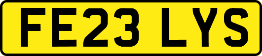 FE23LYS