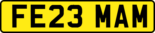 FE23MAM