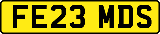 FE23MDS