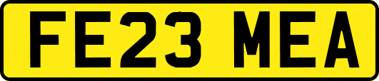FE23MEA