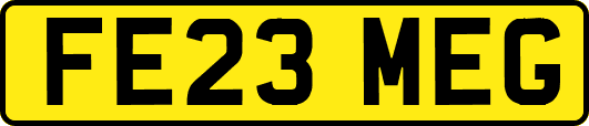 FE23MEG